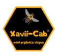 Xavii Cab